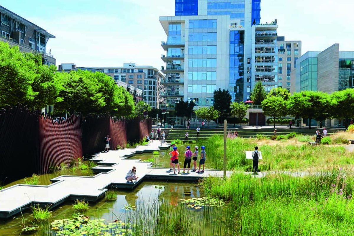 urban regeneration