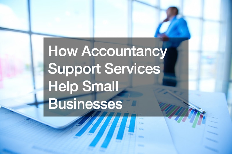 How Accountancy Support Services Help Small Businesses