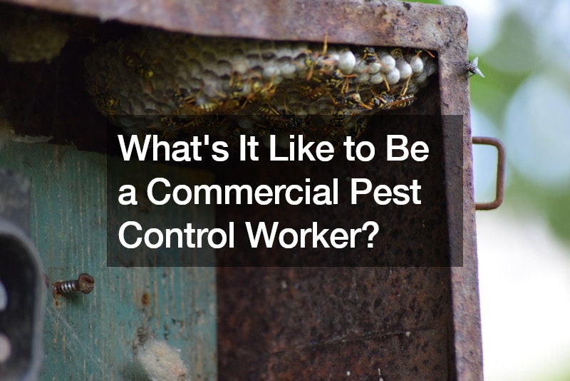 Whats It Like to Be a Commercial Pest Control Worker?